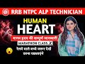 हृदय कैसे काम करता है हृदय की संरचना ए�