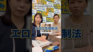 エロ広告規制法案を提出しました #国民民主党 #伊藤孝恵 #小林さやか
