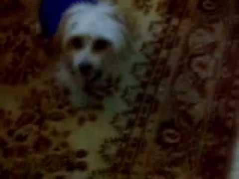 HOLLY was found on the 25 12 2013