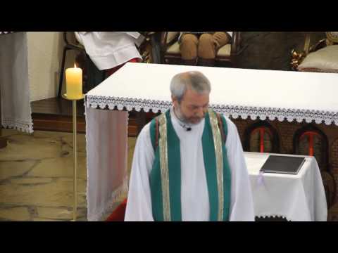 Homilia Pe.Félix 11º DOM. TEMPO COMUM 16/06/2013