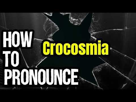How To Pronounce Crocosmia? (CORRECTLY) Meaning & Pronunciation