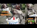 CUTE BABY ANIMALS Monkey ice bucket challenge - MONKEY MAN Corey Wild - Monkey MAGIC Business! 🐒