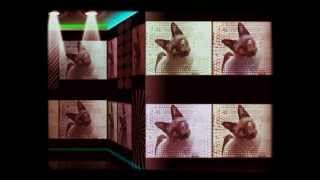 Amortiguador Andrea Echeverri