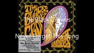 The Black Crowes - Never Forget This Song (HD)