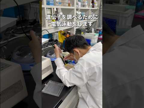 バイオデータサイエンス学科 微生物研究で虫歯も解決⁉️