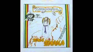 Jah Shaka The Commandments of Dub series 1