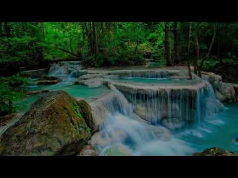 Un altre món és possible