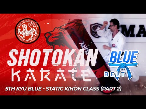 Shotokan Karate - 5th Kyu - Blue Belt - Static Kihon Class (Part 2) thumbnail