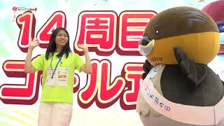 2024/11/28放送・知ったかぶりカイツブリにゅーす