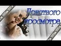 Для Тебя... СУПЕР ХИТ О ЛЮБВИ! 