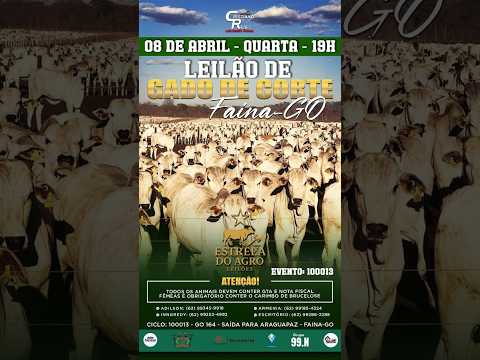 LEILÃO GADO DE CORTE ESTRELA DO AGRO LEILÕES  FAINA-GO 08/04/2026 | Leilão ao Vivo - Leilão de Gado