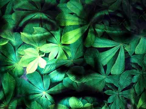 Memorys Of Green My Cover-Vangelis