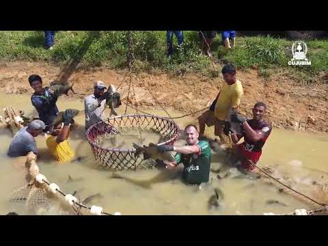 Conheça Cujubim - RO