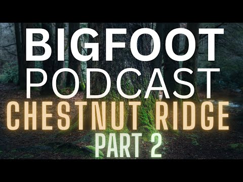 BIGFOOT RESEARCH AND ENCOUNTERS | CHESTNUT RIDGE PA (PART 2)