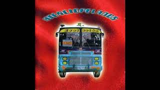 Aterciopelados Tanto Amor