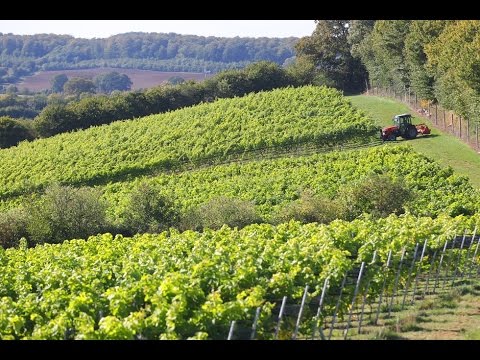 Schönes Landleben Ingenhof