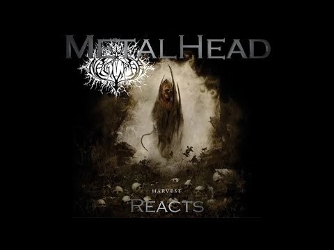 METALHEAD REACTS to "Harvest" by Naglfar