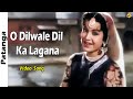 O Dilwale Dil Ka Lagana Video Song Patanga Hindi Movie Songs Nigar Sultana Shyam Tvnxt