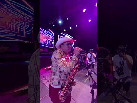 Los Pikadientes de Caborca | Agujetas de Color de Rosa | en vivo.