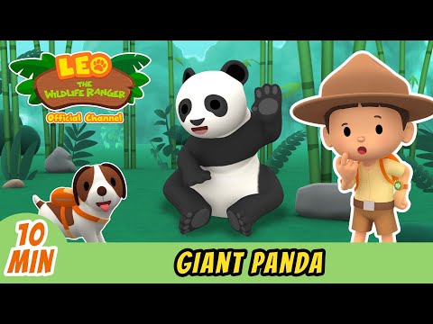 Witness21 Editor  2022 07 01