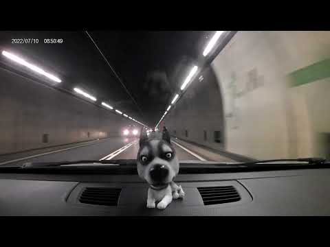 Gotthard Tunnel Northbound  - Driving - No Music