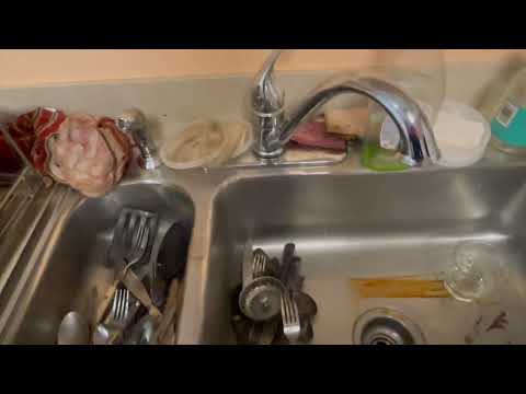 How the Fruit Fly Traps Work in East Windsor, NJ