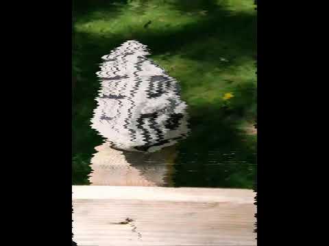 Lammertal-Aualm 2020