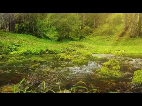 Rainy Autumn Morning to Sleep in minutes - Mañana Lluviosa de Otoño para dormir