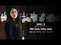 Verleden Tijd - deel 2