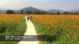 preview picture of video '꽃과 열차 / flower & Train (Gyeongju, Korea) 2011'