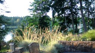preview picture of video 'Summer Evening on Country Club Road, Bainbridge Island Washington'