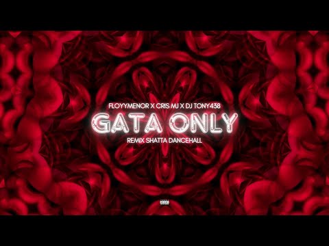 DJ Tony 438 x FloyyMenor x Cris MJ - Gata Only Remix (Shatta Dancehall) [TikTok]