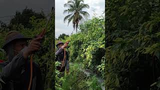 Download lagu Beginner chili farmers just need to do this mp3