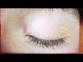 Pieta Brown, William Brittelle - We Are Not Machines, Meta Version (official video)