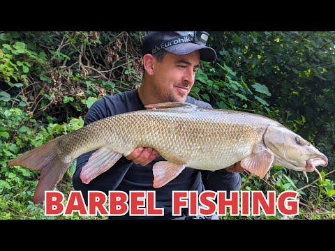 A BARBEL DOUBLE TAKE 2023