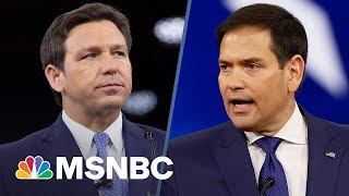 Marco Rubio Called Out For Statements On DeSantis Disney Battle