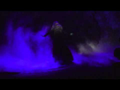 Wicked - 'T is nooit goed - Renee van Wegberg