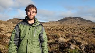 Download lagu Winter in the Subantarctic: Antipodes Island terrestrial ecology mp3