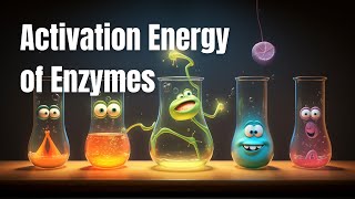 √ The Definition of Activation Energy of Enzymes Explained. Watch this video to find out!