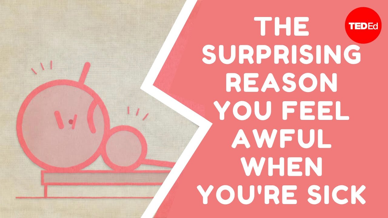 The surprising reason you feel awful when you're sick - Marco A. Sotomayor