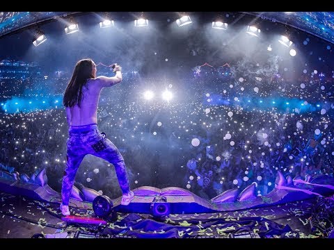 Steve Aoki Live At Tomorrowland 2017
