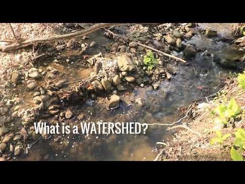 Virtual River - What Is A Watershed?