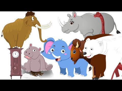 Hickory Dickory Dock Polar Bear, Buffalo, Rhinoceros, Elephant, Mammoth, Brachiosaurus, Hippo Songs