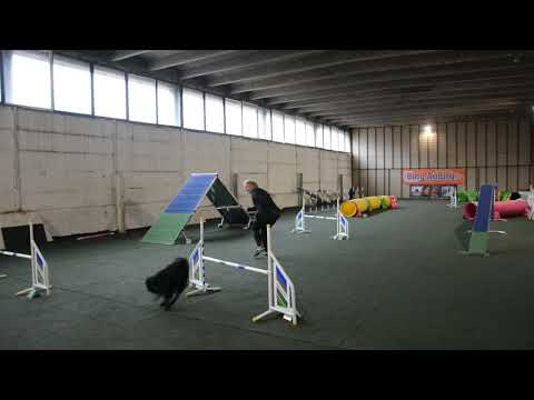 Töpi Agility 2021.02.20