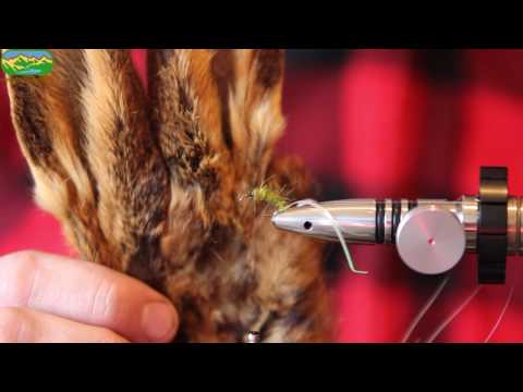 rennostiretkella.fi - Larva