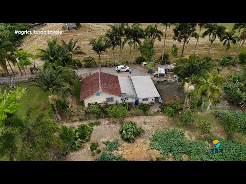 Sítio Sem Hora: um refúgio encantador em Lontras 🌿🕰️