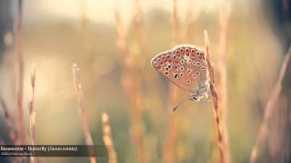 Bassnectar - Butterfly (Jacoo remix)