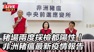 豬場兩度採檢都陽性!非洲豬瘟最新疫情報告