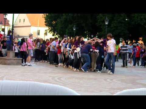 Vinkovci norijada 2012