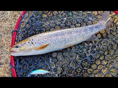 Жетілген әйелдермен орыс порно Біз не үшін мастурбация жасаймыз?